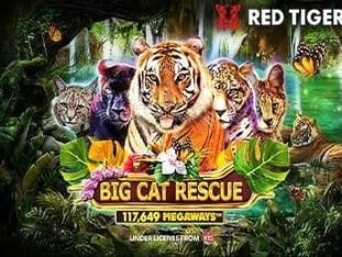Big Cat Rescue Megaways™ game thumbnail